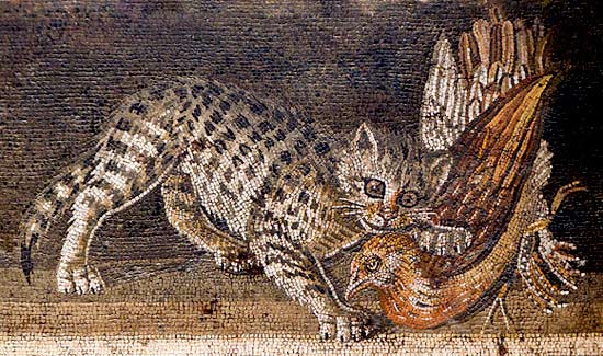 Gatto che azzanna un uccello - Museo Archeologico di Napoli
