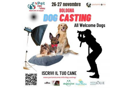 Dog Casting a Bologna