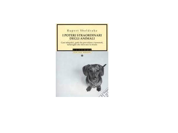 I poteri straordinari degli animali