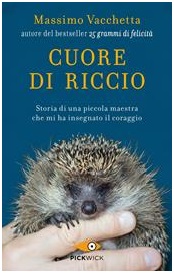 cuore di riccio paint