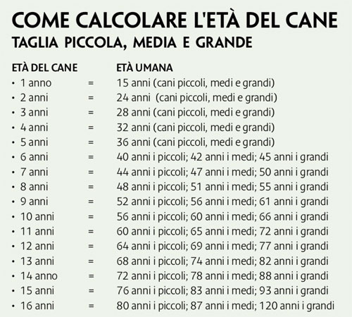 tabella età cane-umano
