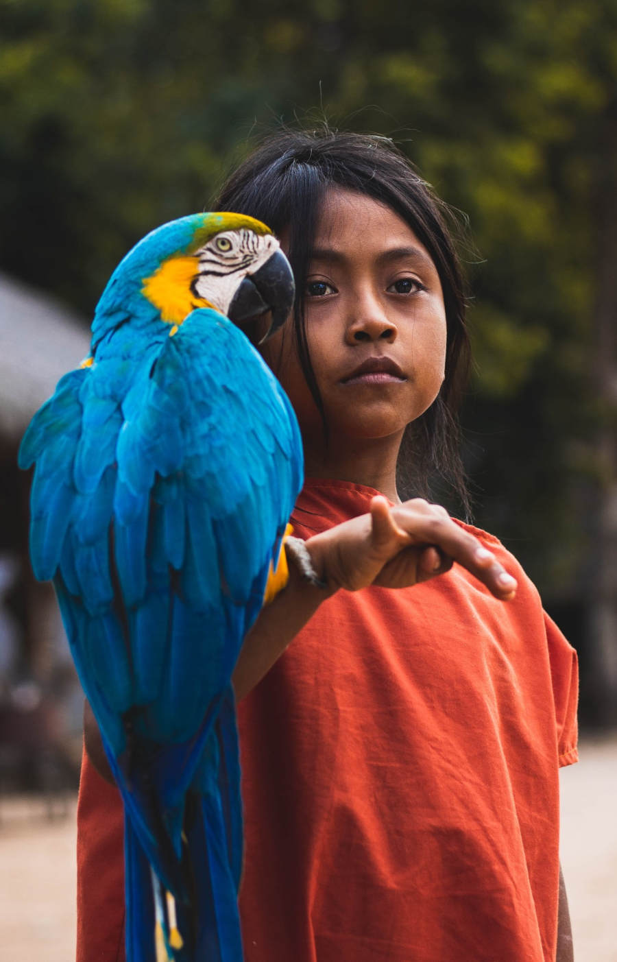 parrot and girl