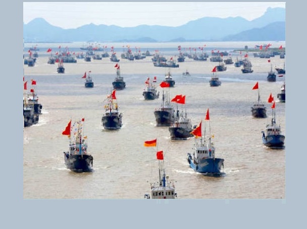 La Cina e la Pesca Insostenibile dei Calamari
